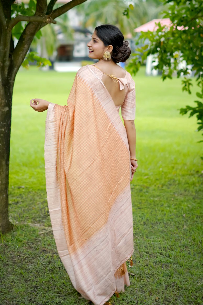 Catalog Designer Saree