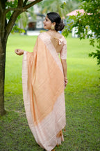 Catalog Designer Saree
