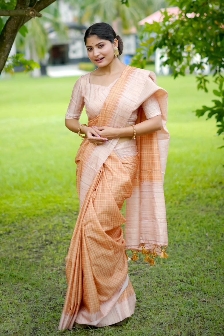Catalog Designer Saree