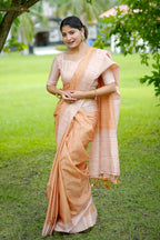 Catalog Designer Saree