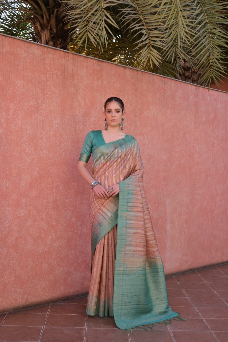 Catalog Designer Saree