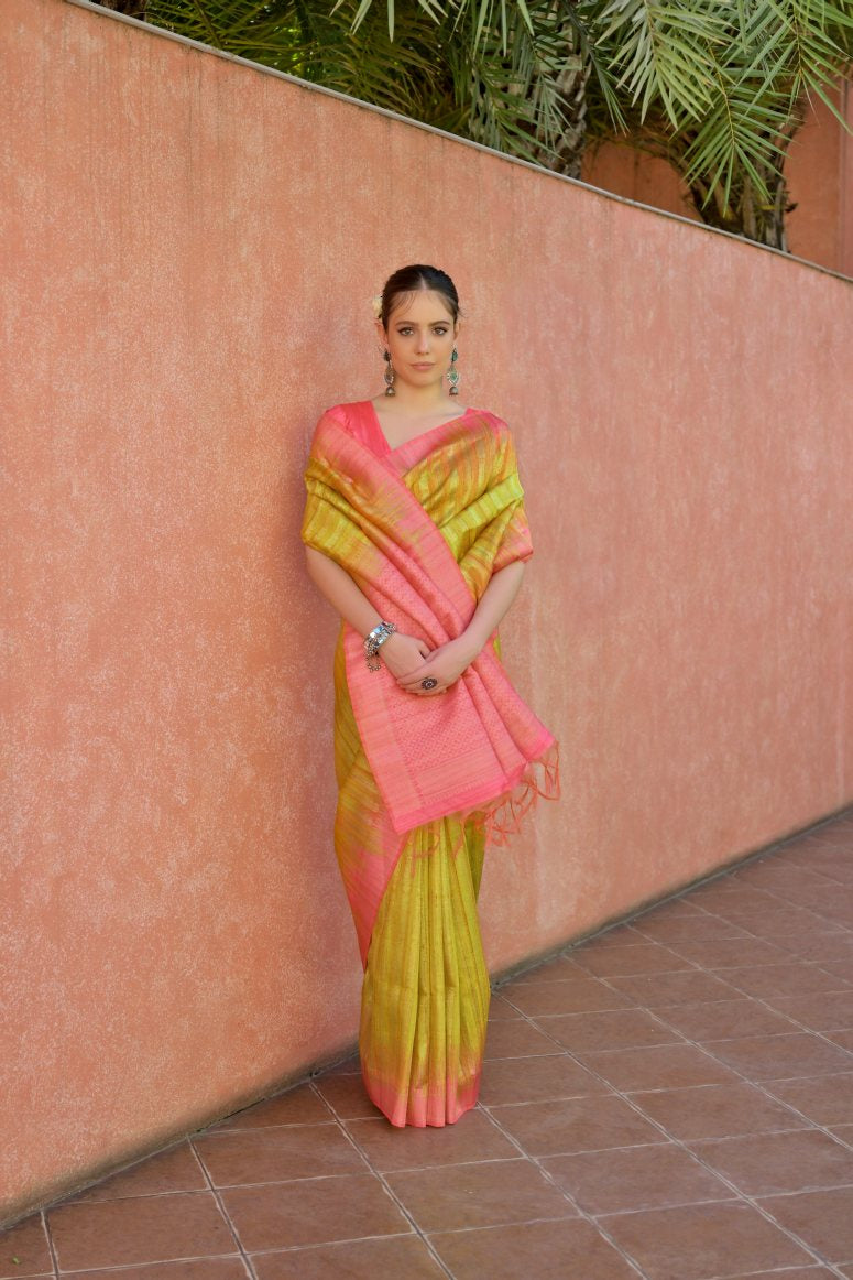 Catalog Designer Saree