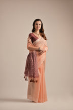 Catalog Designer Saree
