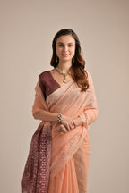 Catalog Designer Saree
