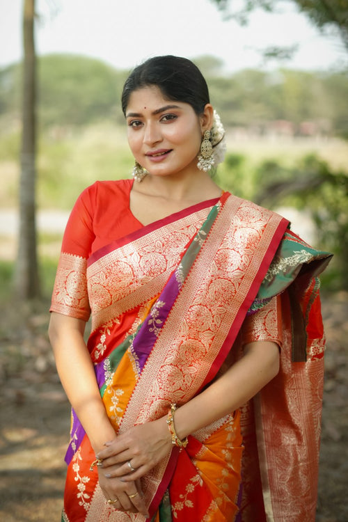 Catalog Designer Saree