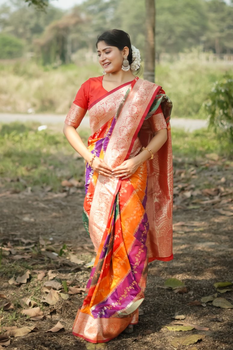 Catalog Designer Saree