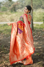 Catalog Designer Saree