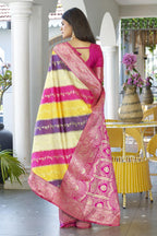 Catalog Designer Saree