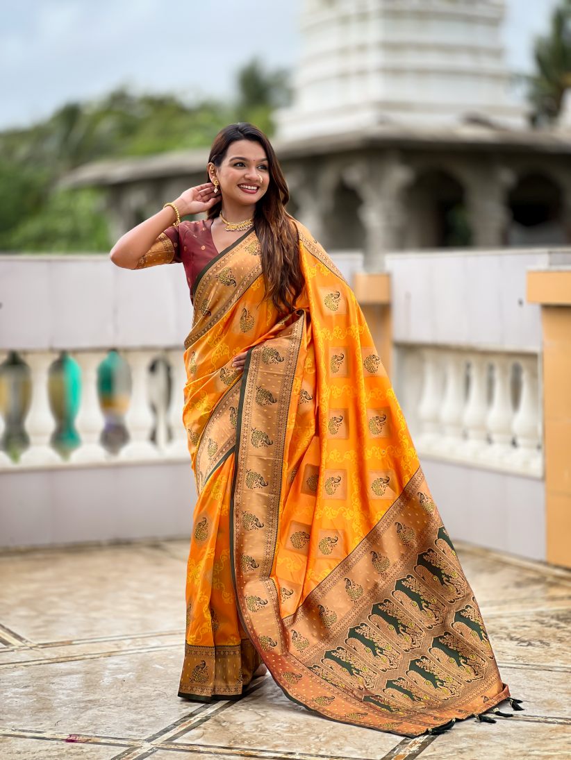 Catalog Designer Saree.