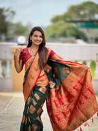 Catalog Designer Saree.