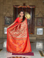 Catalog Designer Saree.