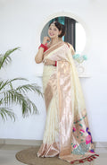 Catalog Designer Saree.
