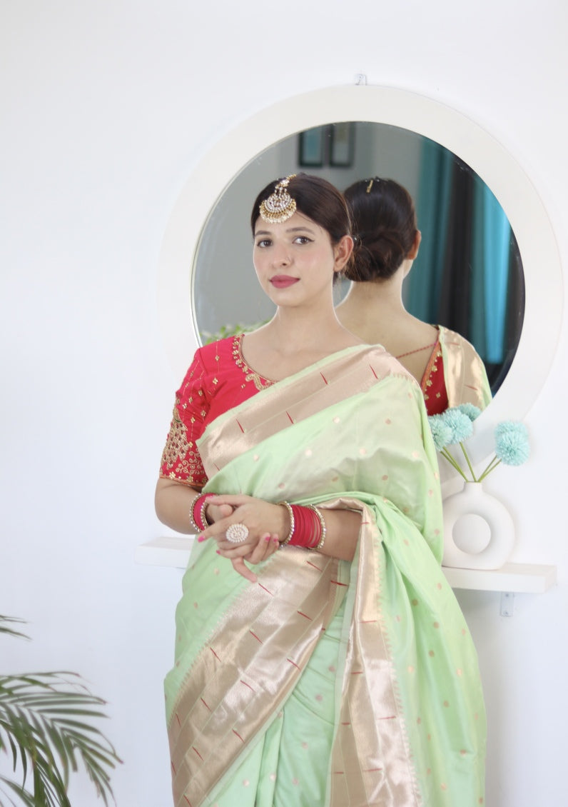 Catalog Designer Saree.
