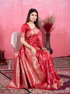 Catalog Designer Saree.