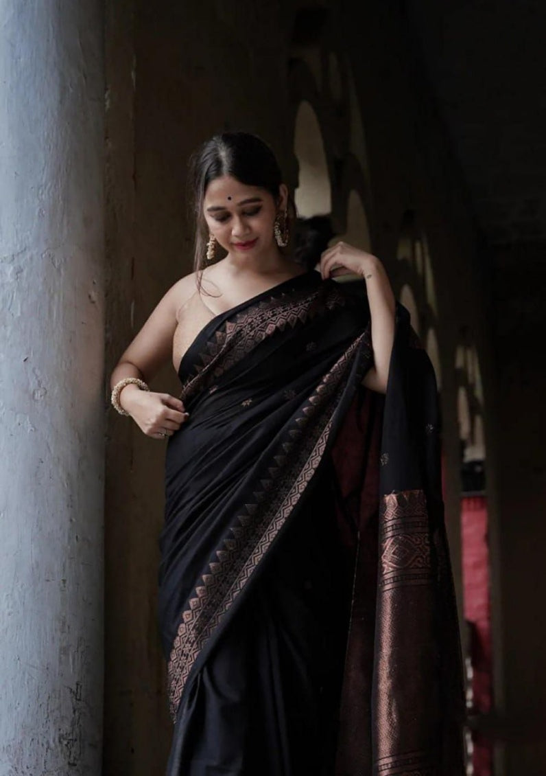 Catalog Designer Saree.