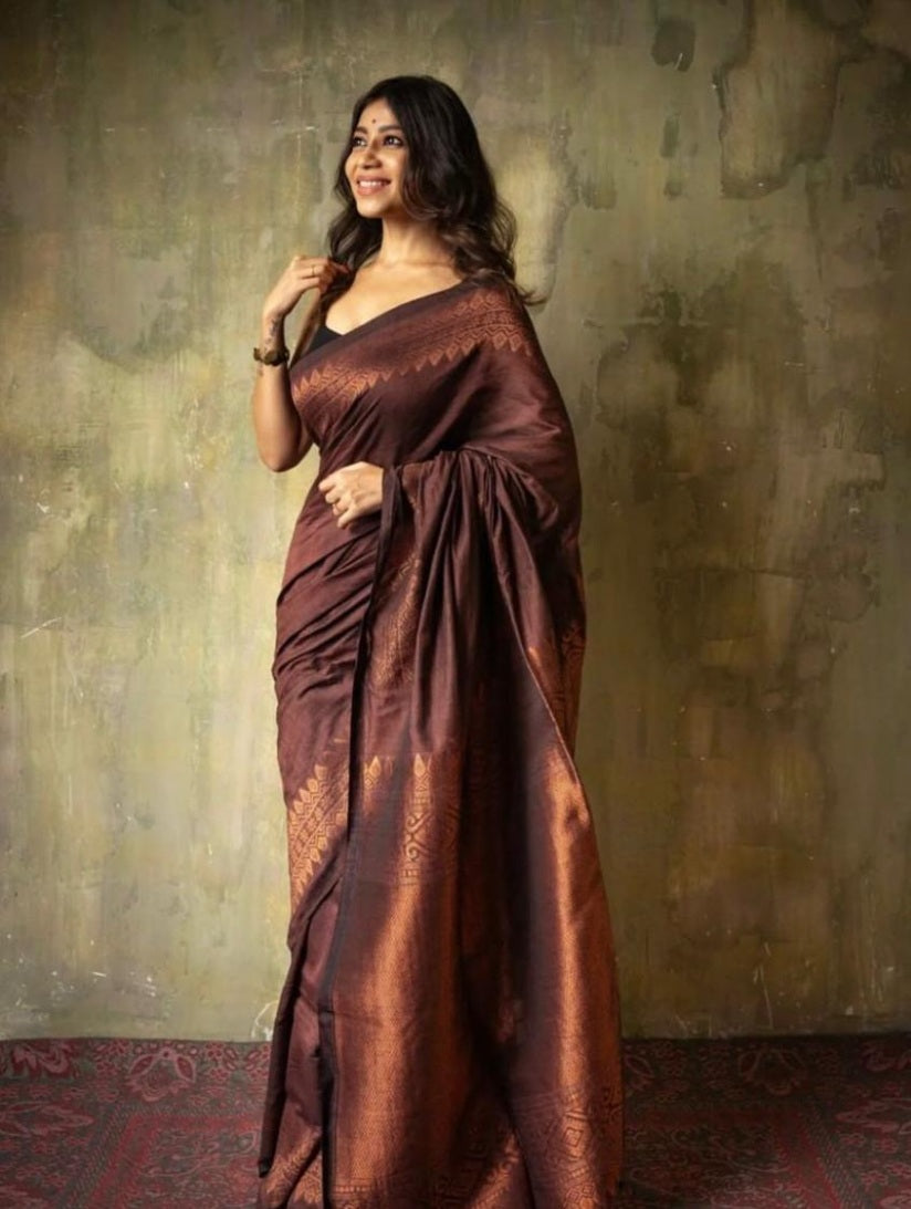 Catalog Designer Saree.