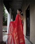 Catalog Designer Saree.