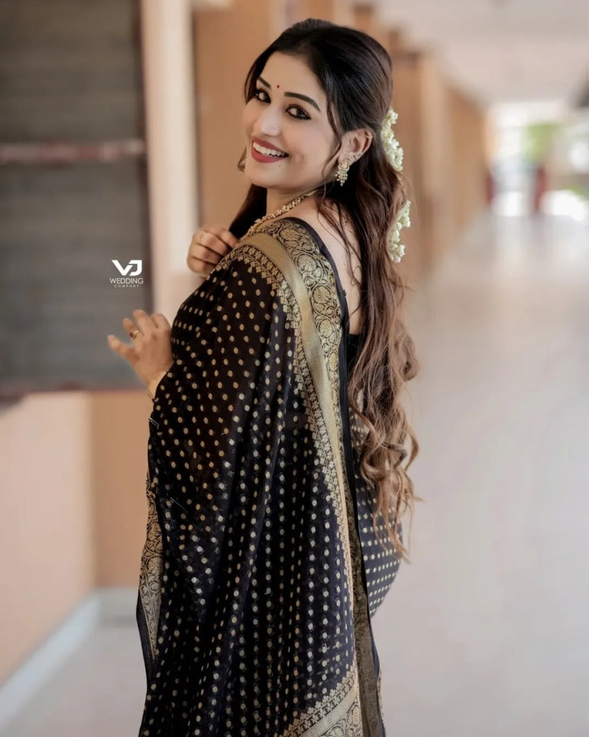Catalog Designer Saree.