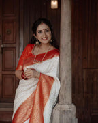 Catalog Designer Saree.