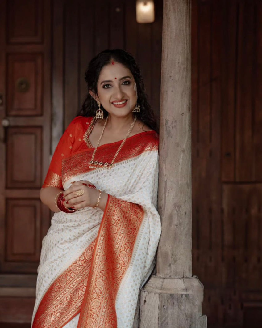 Catalog Designer Saree.