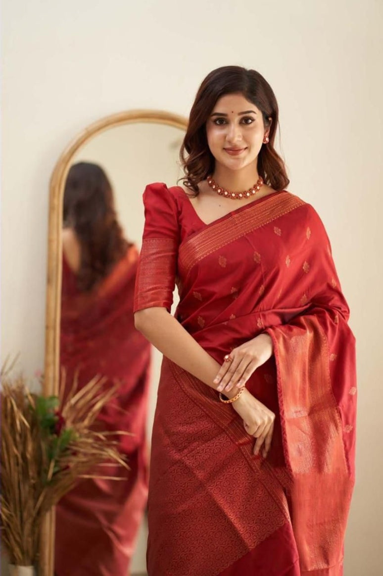 Catalog Designer Saree.