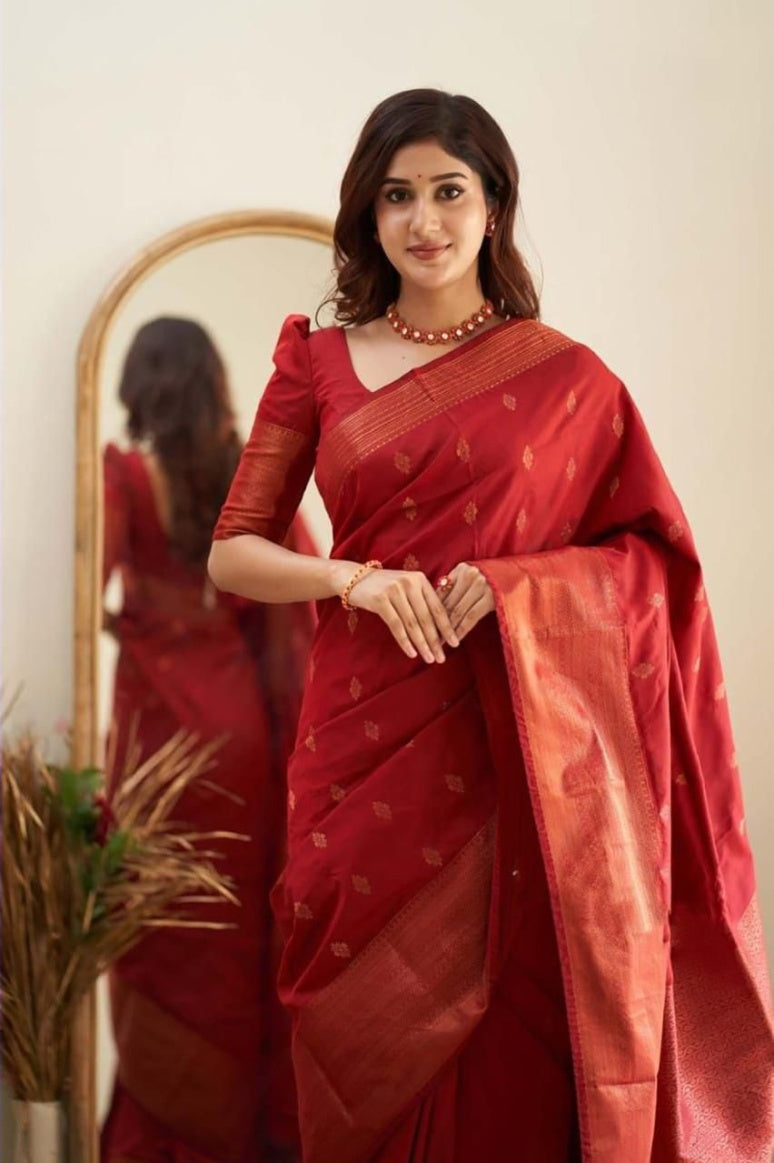 Catalog Designer Saree.