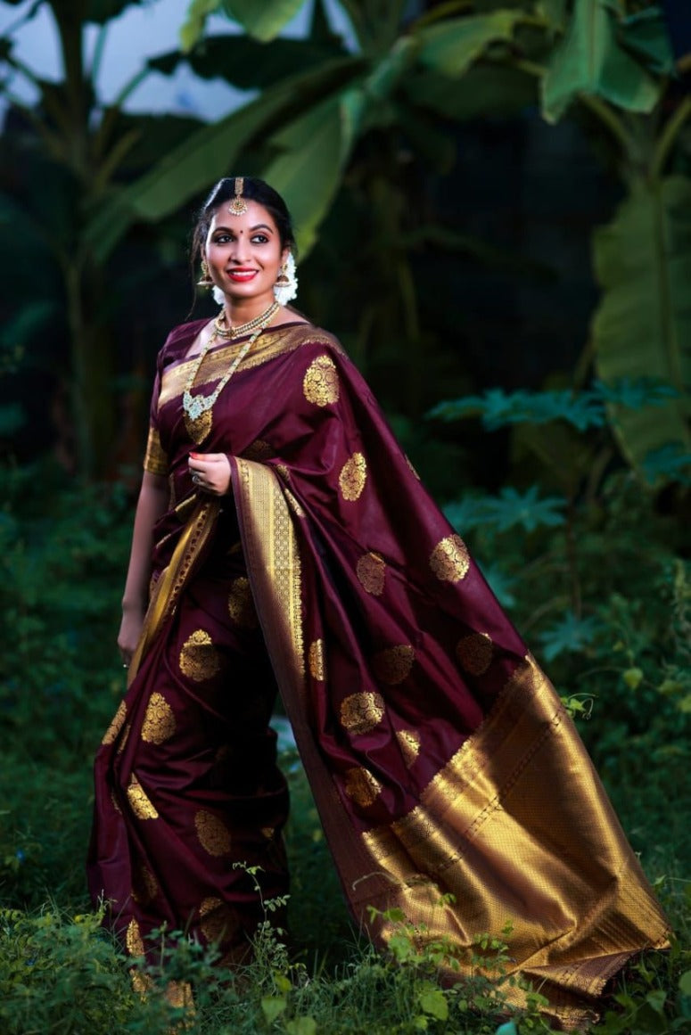 Catalog Designer Saree.
