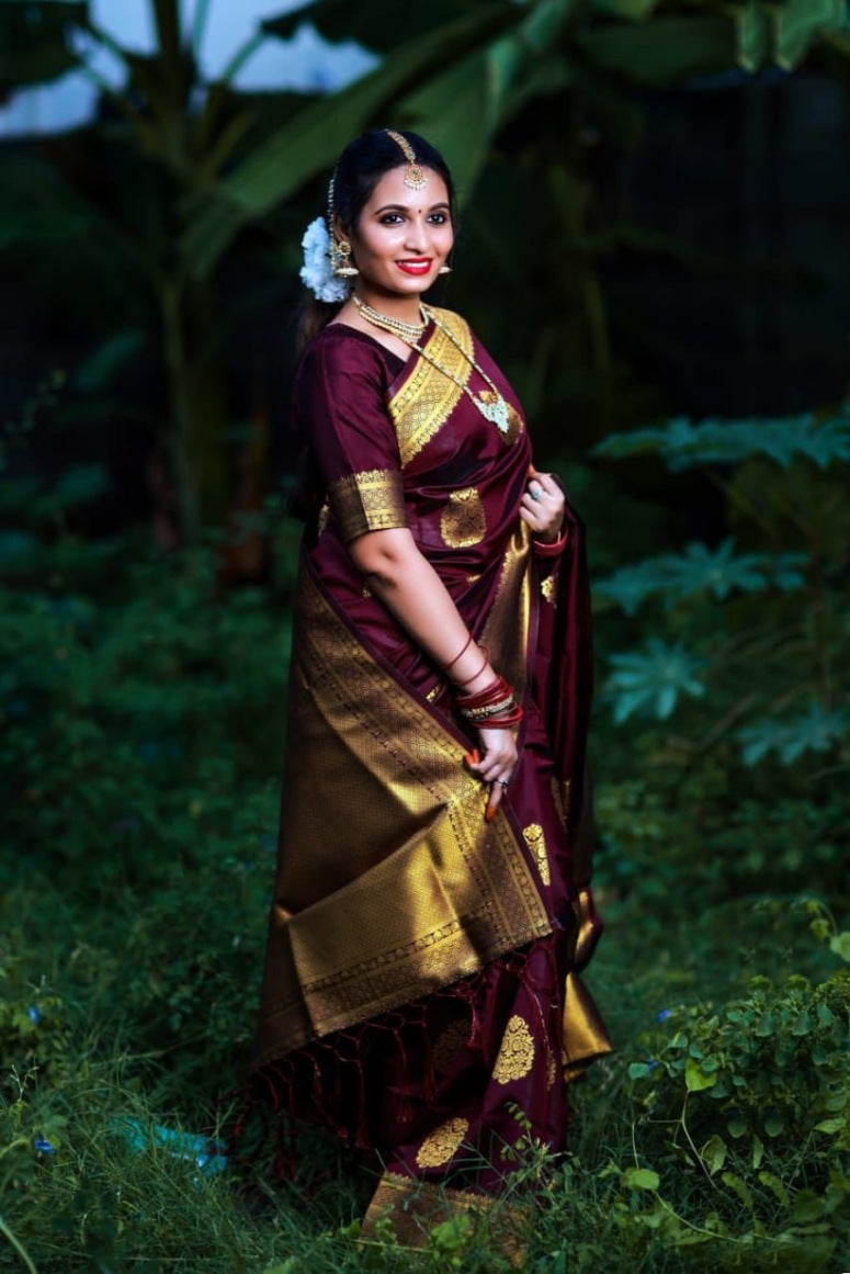 Catalog Designer Saree.