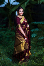 Catalog Designer Saree.