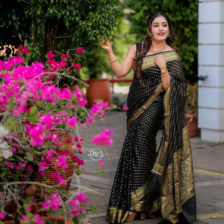 Catalog Designer Saree.