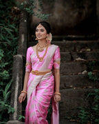 Catalog Designer Saree.