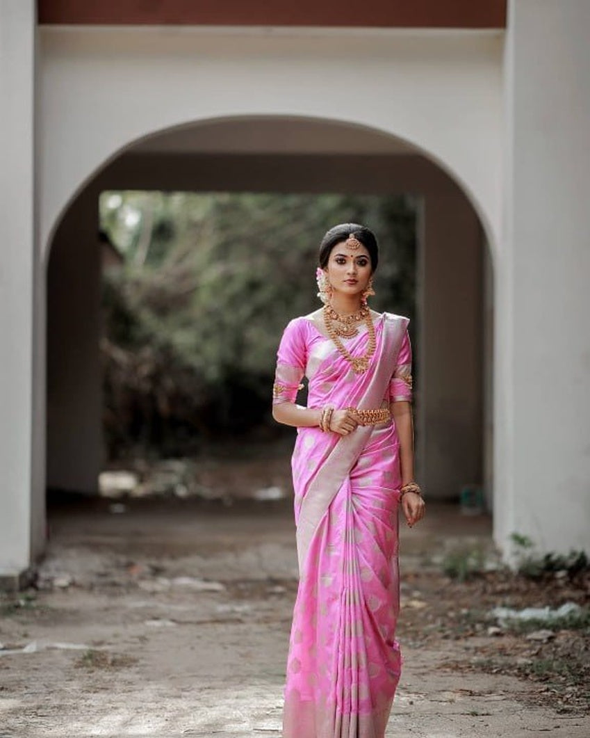 Catalog Designer Saree.