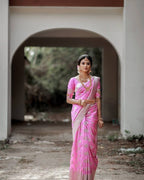 Catalog Designer Saree.