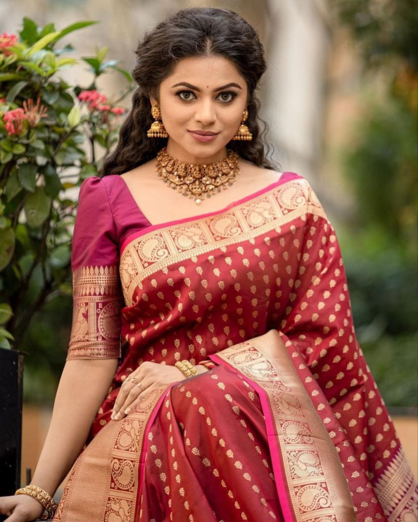 Catalog Designer Saree.