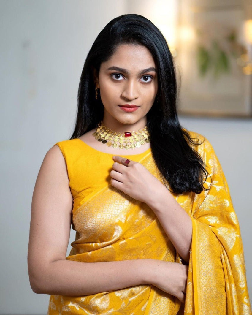 Catalog Designer Saree.