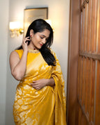 Catalog Designer Saree.