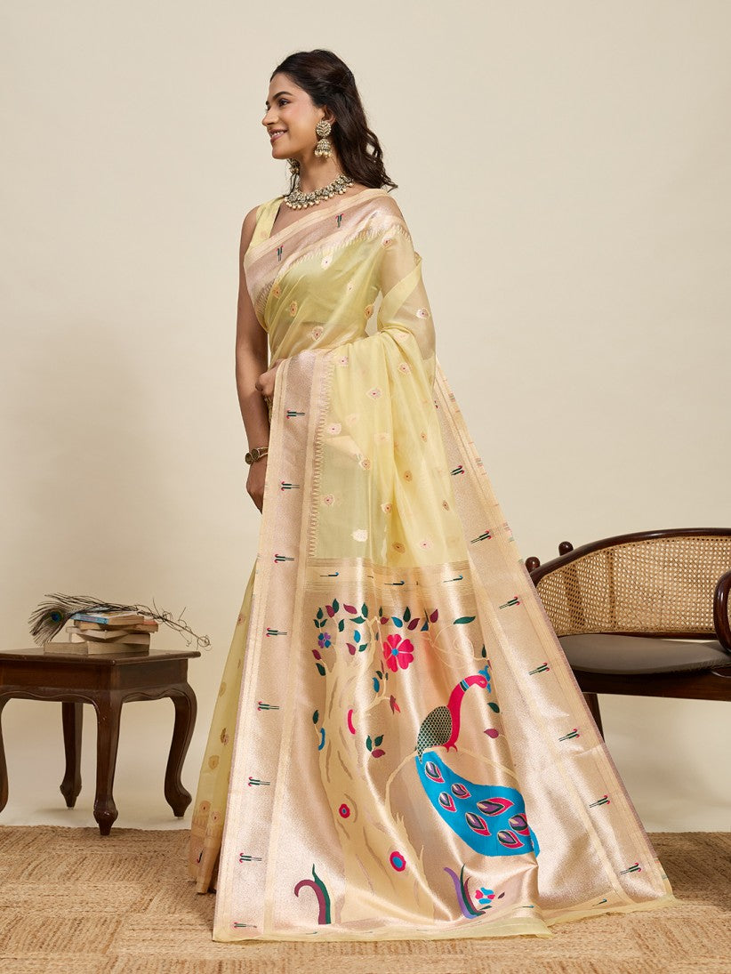 Catalog Designer Saree.