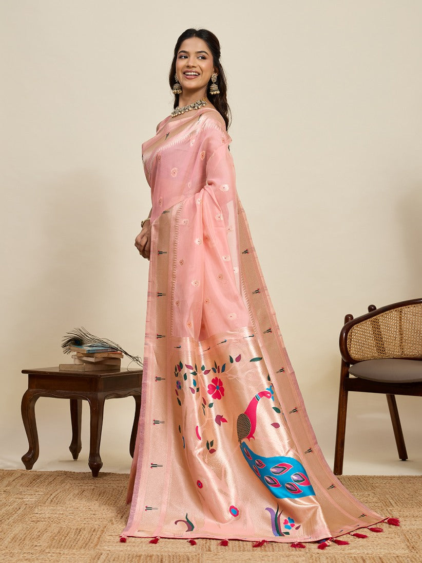 Catalog Designer Saree.