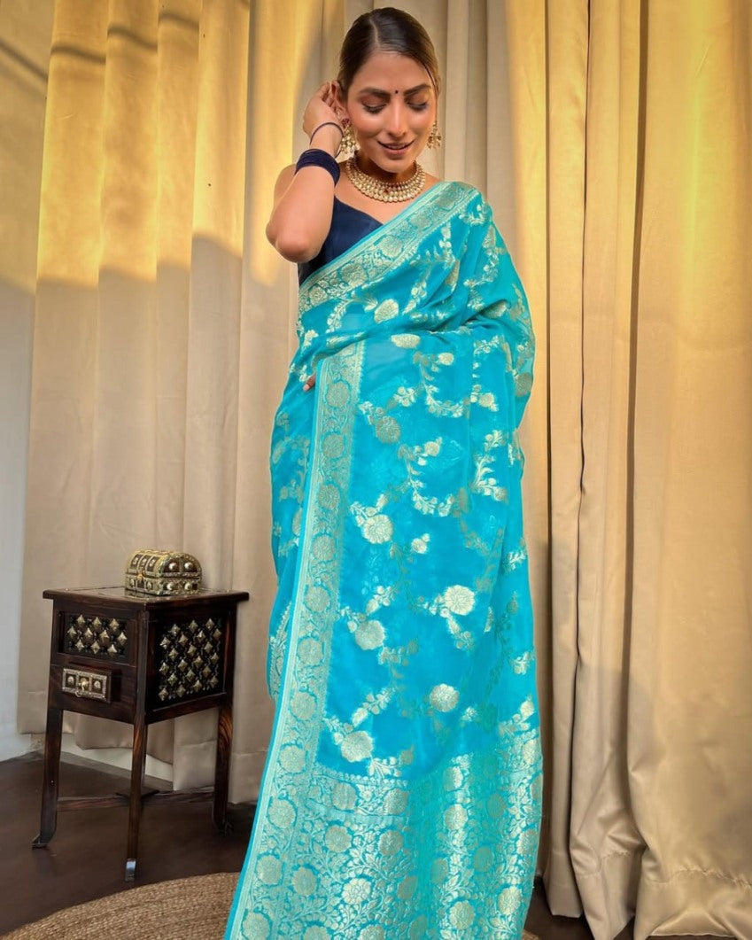 Catalog Designer Saree.