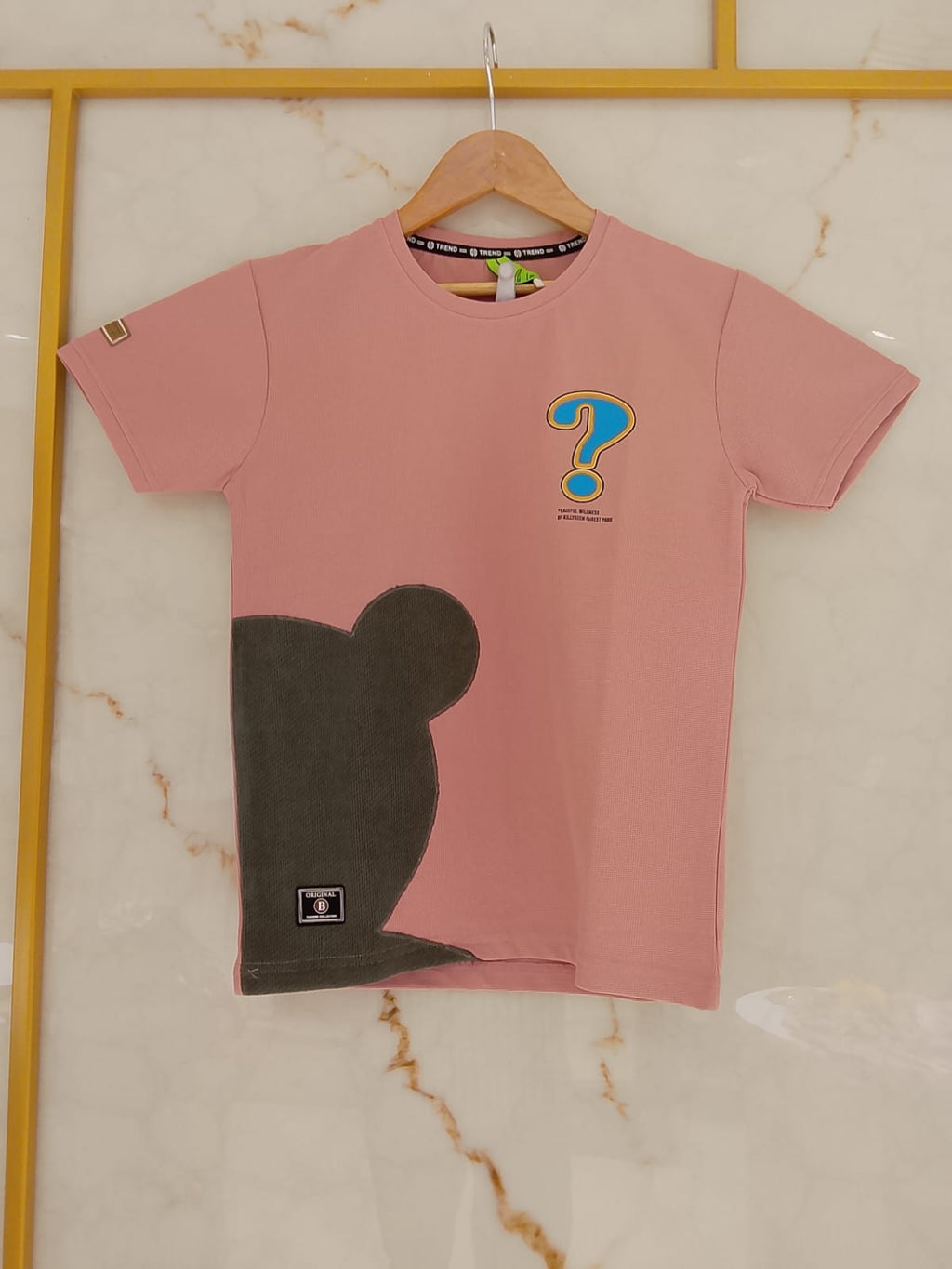 Kids T-Shirt