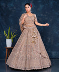 Latest Semi Stitched Lehenga Choli With Dupatta.