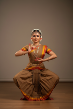 Bharatanatyam Kache Saree - Brown