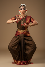Bharatanatyam Kache Saree - Chocolate Brown with Peacock Border
