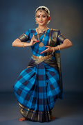 Bharatanatyam Kache Saree - Turquoise Navy Check with Deer Border