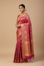 Indian Model in Magenta Kanjivaram with Gold Tissue Body