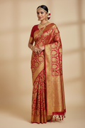 Indian Model in Red Banarasi Bridal Saree