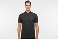 Male model wearing DG monogram polo