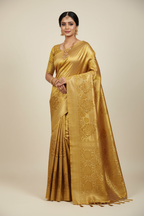 Model in Antique Gold Tissue Silk Saree