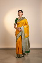 Model in Mango Yellow Banarasi Saree