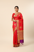 Model wearing red Banarasi saree with purple gold border